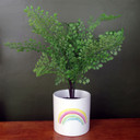 Ceramic Rainbow Planter Plant Pot
