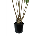 125cm Dragon Tree Dracaena Plant Natural Look Artificial