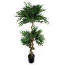 160cm Ruscus Double Twist Trunk Natural Look Japanese Tree