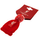 Liverpool FC Hanging Bobble Hat