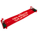 FIFA World Cup Qatar 2022 Wales Scarf