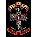 Guns N Roses Poster 242