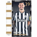 Newcastle United FC A3 Calendar 2024