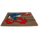 Sonic The Hedgehog Doormat