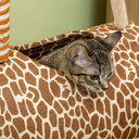 Cat Tree Cute Giraffe Kitten Play Tower W/ Scratching Posts Tunnel Ball Pawhut
