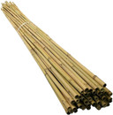 30 x 5FT Bamboo Canes 150 CM