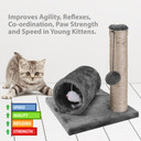  Cat Scratching Post & Tunnel