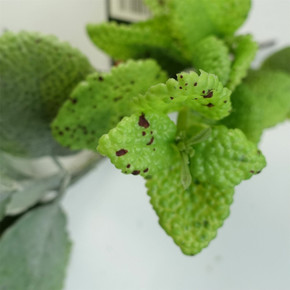 125cm Artificial Trailing Hanging Mint Leaf Garland Plant Realistic
