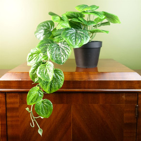 35cm Artificial Trailing Natural Look Potted Pothos Plant Realistic