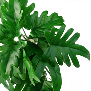 50cm Artificial Trailing Philodendron Large Leaf Plant