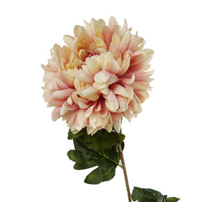75cm Extra Large Reflex Chrysanthemum - Pink