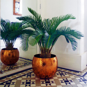 80cm  Cycas Palm Plant Artificial Tropical Tree