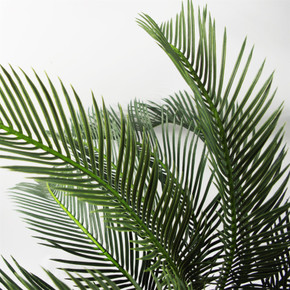80cm  Cycas Palm Plant Artificial Tropical Tree