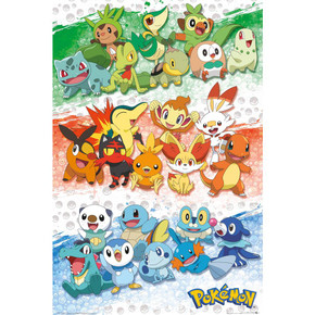 Pokemon Poster First Partners 144