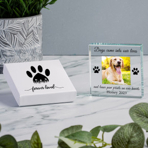 Paw Prints Glass Token - Personalised Pet Memorial Photo Keepsake in Gift Box - Square Photo Required