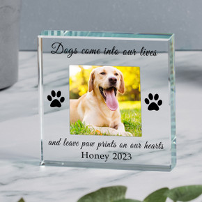 Paw Prints Glass Token - Personalised Pet Memorial Photo Keepsake in Gift Box - Square Photo Required