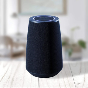 Voice Assistant Bluetooth Speaker