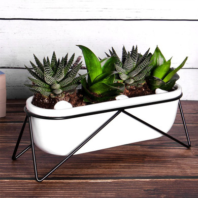 Desktop Planter Oval | M&W