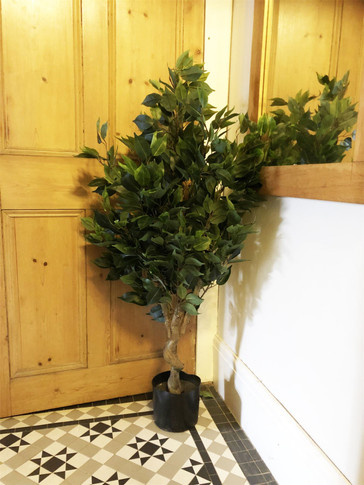110cm Leaf Realistic Artificial Ficus Tree / Plant Gold Planter