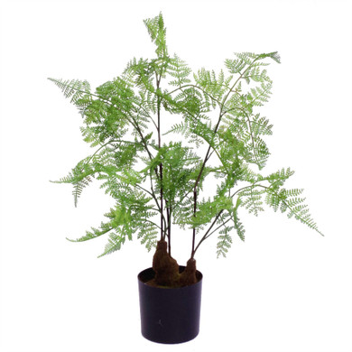 60cm Artificial Natural Moss Base Fern Foliage Plant