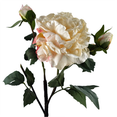 60cm Peony Artificial Flower Cream - 1 Flower 3 Buds