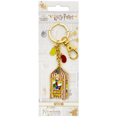 Harry Potter Charm Keyring Bertie Botts