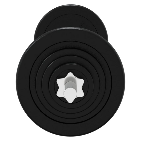 Barbell with Plates 60 kg Cast Iron