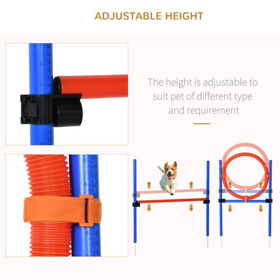 Pet Agility Set Training Play Kit Dog Jump Hoop Poles Tunnel Obedience Equipment