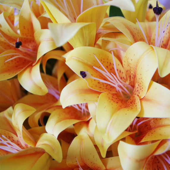 12 x 60cm Artificial Lily Stem - Yellow - 144 Flowers