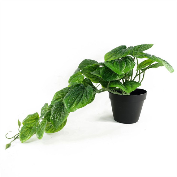 35cm Artificial Trailing Natural Look Potted Pothos Plant Realistic