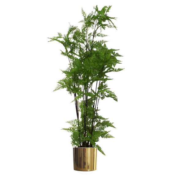 150cm Artificial Natural Moss Base Fern Foliage Plant with Gold Metal Planter