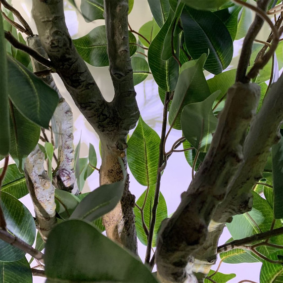 100cm Leaf Realistic Artificial Ficus Tree / Plant Bush Ficus Silver Curve Planter