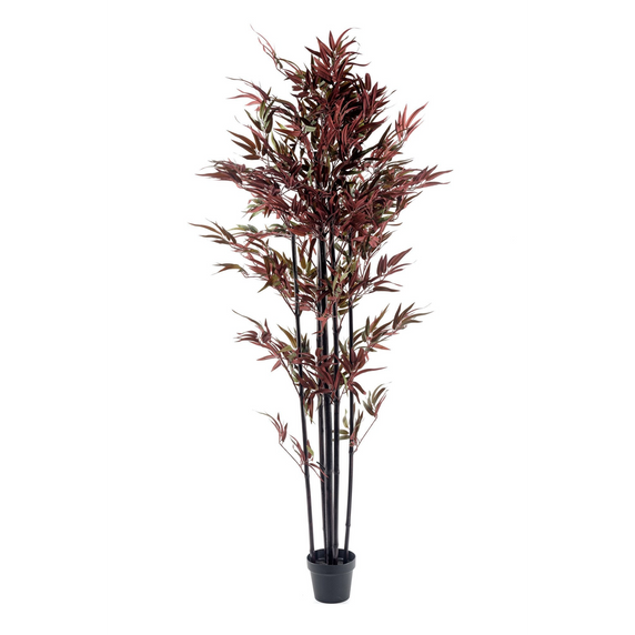 Bamboo Tree Red & Green 180cm