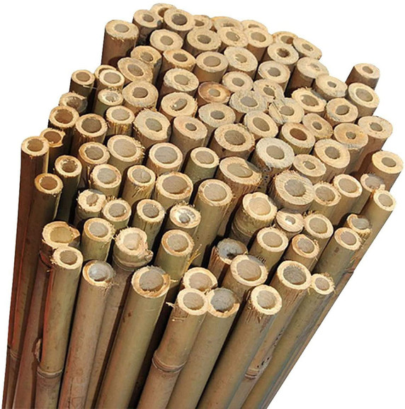 20 x 6FT (180cm) Bamboo Canes