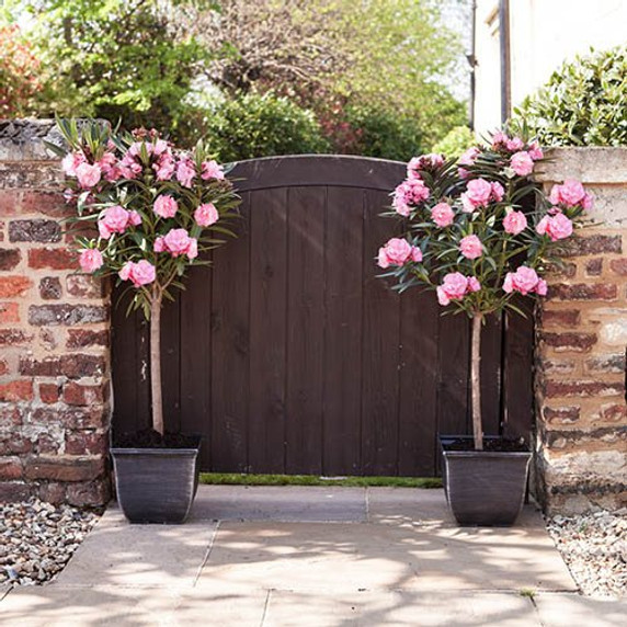 Pair of Tulipa Silver Square Planter 25cm