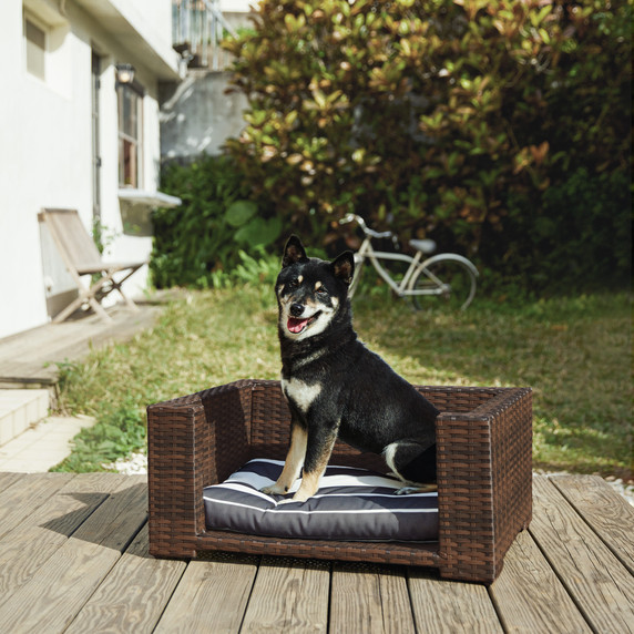 Indoor Outdoor Rattan Cat or Dog Elevated Rattan Bed