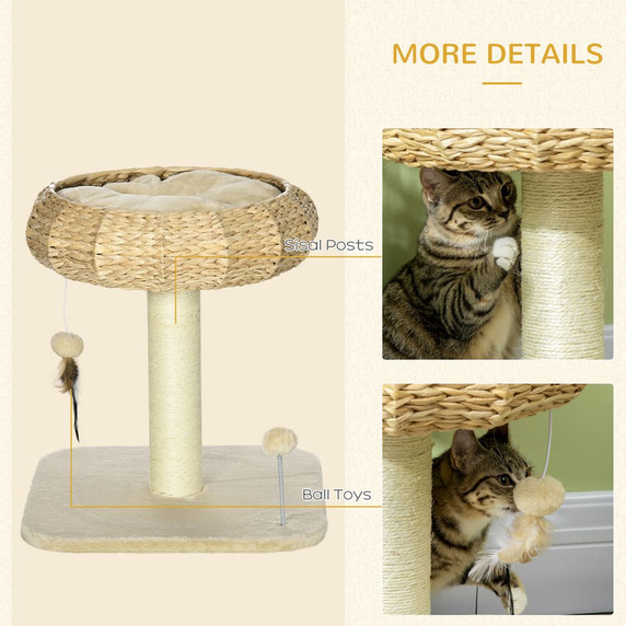 51cm Cat Tree Kitty Activity Centre w/ Top Bed, Toy Ball, Sisal Scratching Post