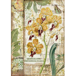 Stamperia - Rice Paper Sheet A4 - Amazonia Orchid (DFSA4532)