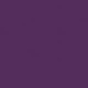 My Colors Cardstock 12 x 12 paper Classic - Orchid (T046619)