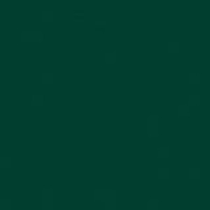 My Colors 100 lb Heavyweight Cardstock 12 x 12 paper - Hunter Green (T017703) My Colors 100 lb Heavyweight Cardstock 12 x 12 paper - Hunter Green (T017703)