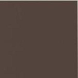 My Colors 100 lb Heavyweight Cardstock 12 x 12 paper - Brownstone (T019913) My Colors 100 lb Heavyweight Cardstock 12 x 12 paper - Brownstone (T019913)