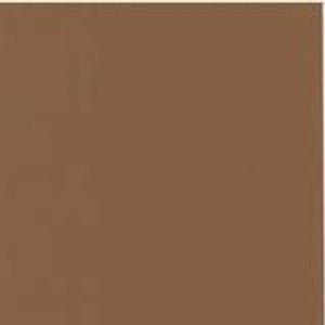 My Colors 100 lb Heavyweight Cardstock 12 x 12 paper - Java (T019915) My Colors 100 lb Heavyweight Cardstock 12 x 12 paper - Java (T019915)