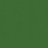 My Colors 100 lb Heavyweight Cardstock 12 x 12 paper - Herb Garden (T015503)