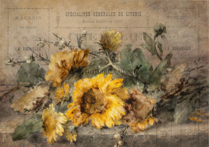 Decoupage Queen - Rochelle Rice Paper A4 (DQRP_0488A4)