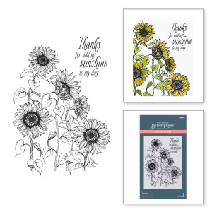 Spellbinders - Serenade of Autumn Collection - Sunflower Field Press Plate (BP-094)