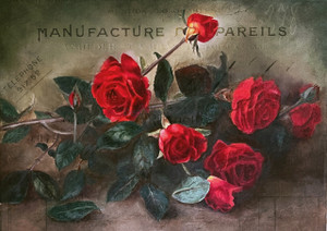 Decoupage Queen - Isabella Rice Paper A4 (DQRP_0650-A4)