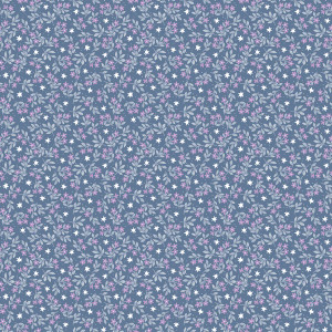 Riley Blake Designs Twinkle Little Star Jasmine Stars Denim