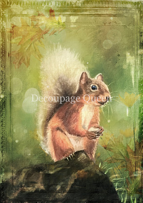 Decoupage Queen - Teresa Rene Art Woodland Squirrel Rice Paper A4 (DQRP_0819-A4)