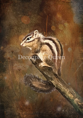 Decoupage Queen - Teresa Rene Art Resting Chipmunk Rice Paper A4 (DQRP_0820-A4)