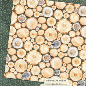 Graphic 45 - Adventure Awaits - 12x12 Scrapbook Paper - Tree Rings 